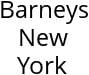 Barneys New York Hours of Operation