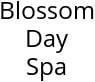 Blossom Day Spa Hours of Operation