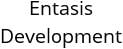 Entasis Development Hours of Operation