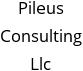 Pileus Consulting Llc Hours of Operation